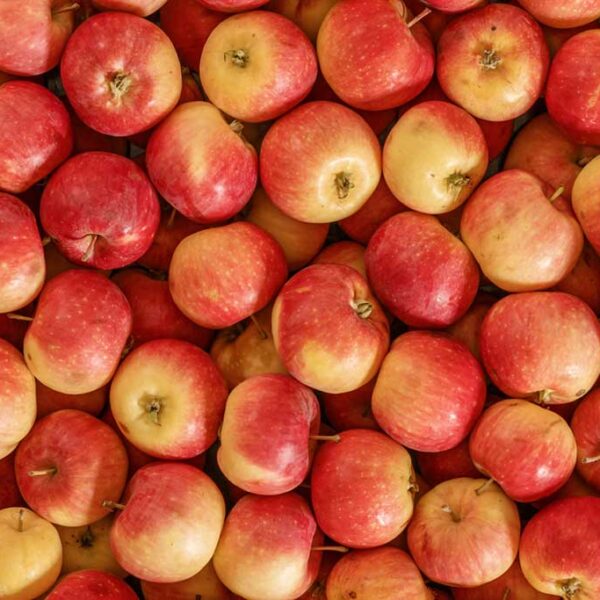 Apples